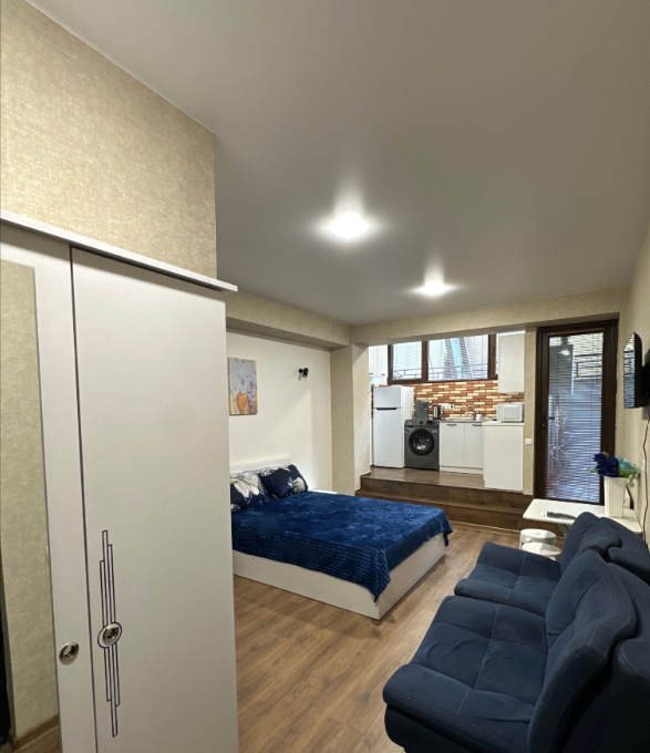 1 room Flat For Rent. Saburtalo