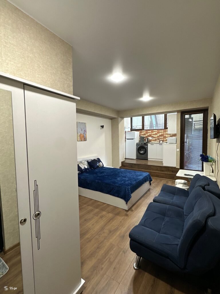 1 room Flat For Rent. Saburtalo